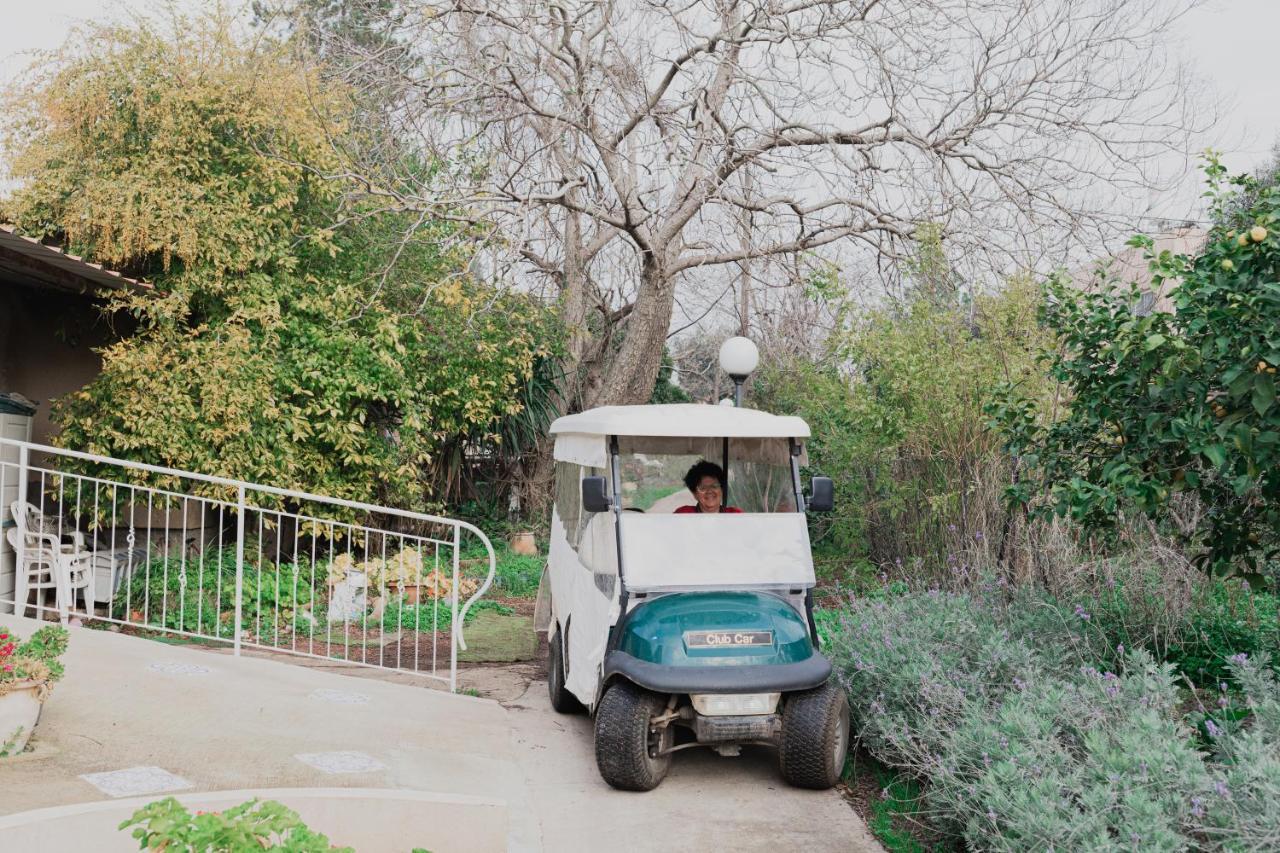 Beautiful Apartment In Kibbutz Yifat Yif'at エクステリア 写真