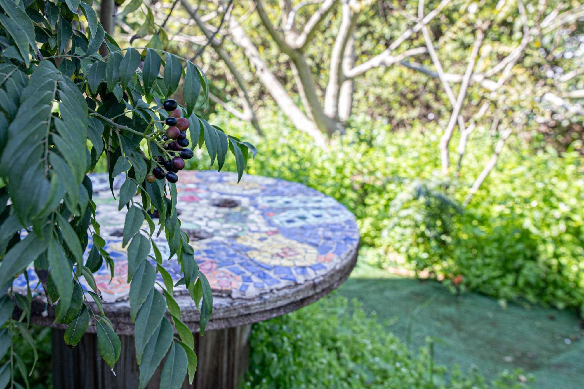 Beautiful Apartment In Kibbutz Yifat Yif'at エクステリア 写真