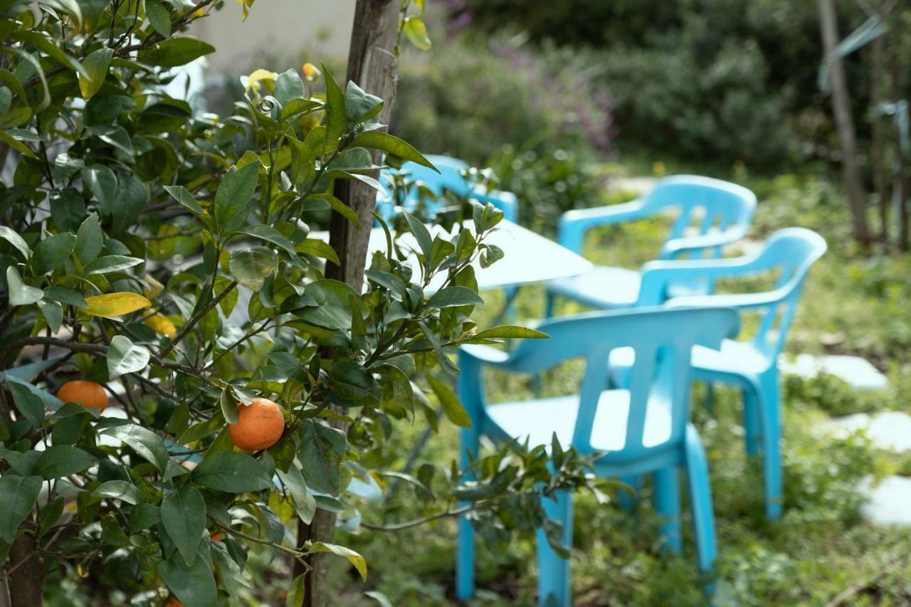 Beautiful Apartment In Kibbutz Yifat Yif'at エクステリア 写真